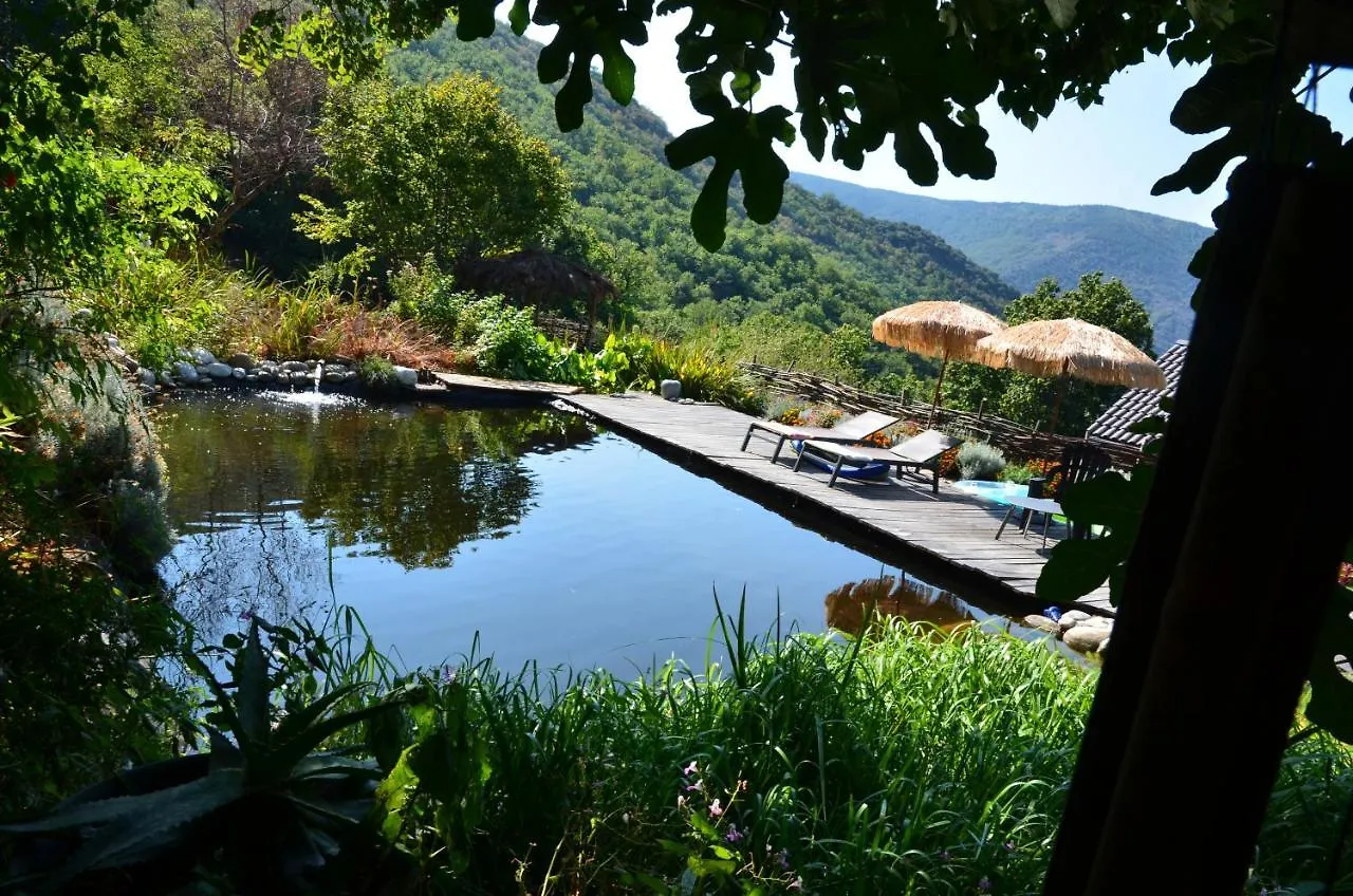 Bed & Breakfast Bed and Breakfast Le Petit Nid Sablieres Francie